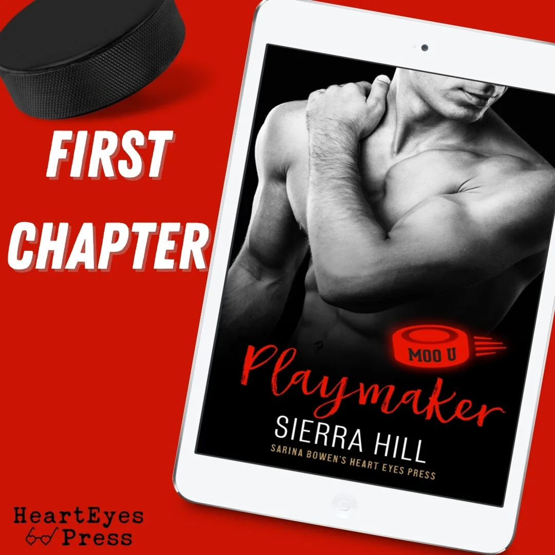 First Chapter: Playmaker by Sierra Hill