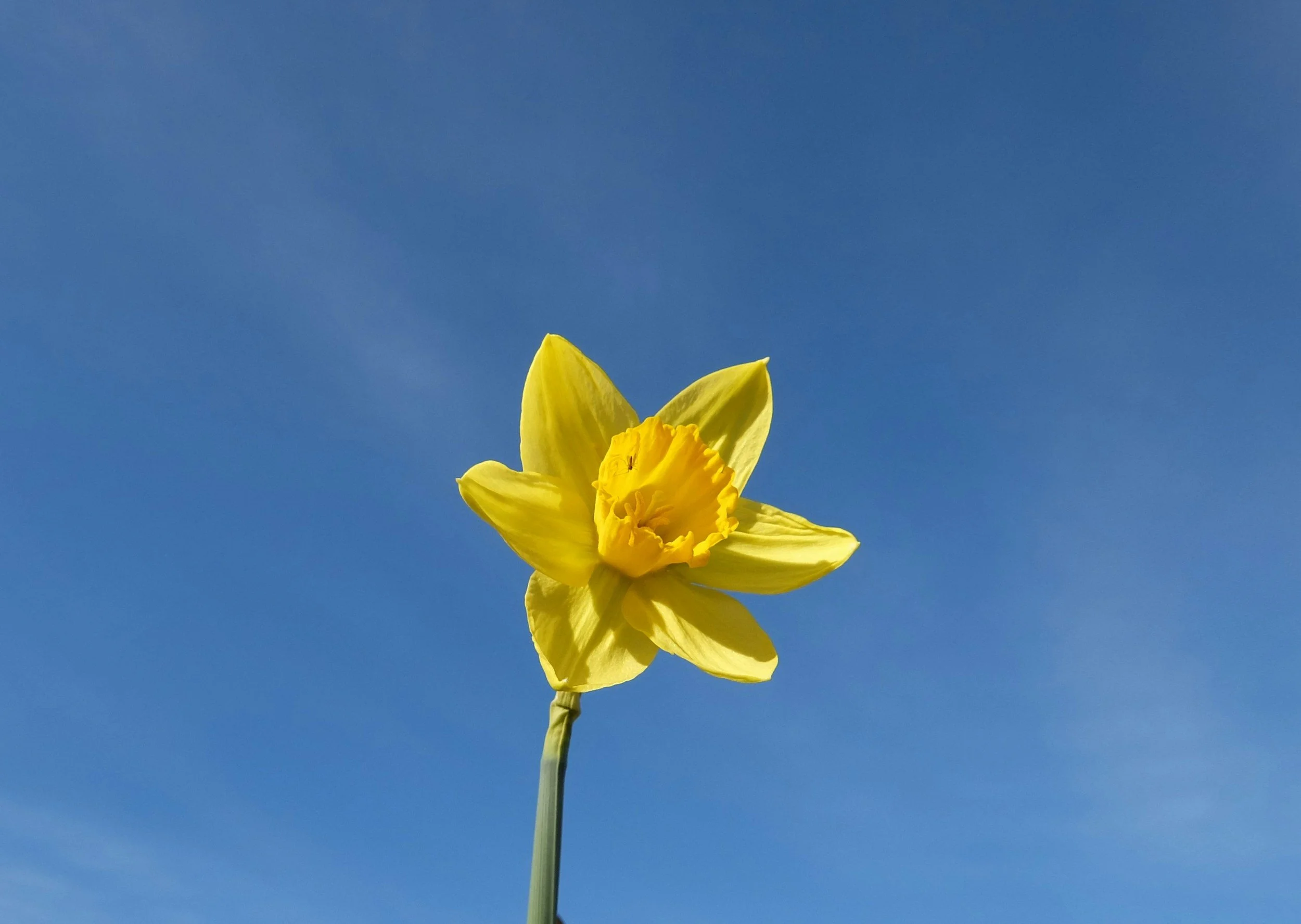 What's Getting Us Through April