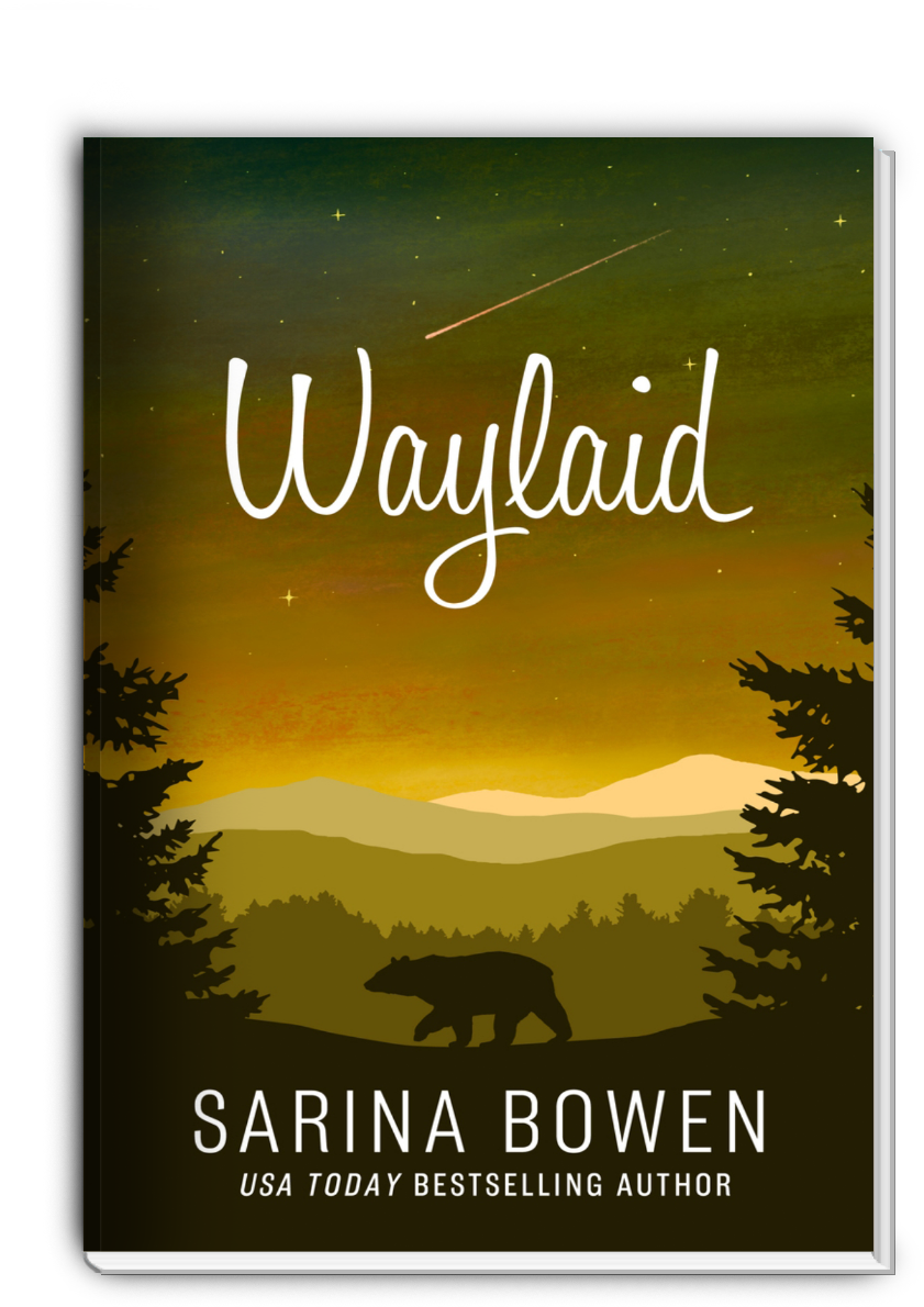 Waylaid (Illustrated) Signed Paperback