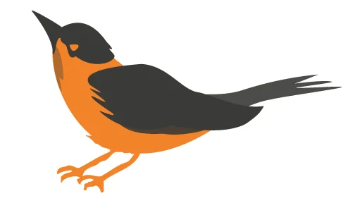 ROBIN_LOGO.jpg