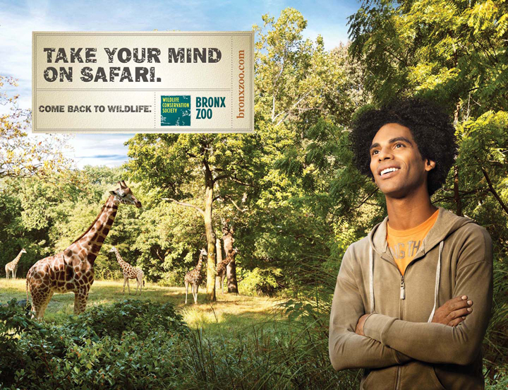 BZ_GIRAFFE_BRAND.jpg
