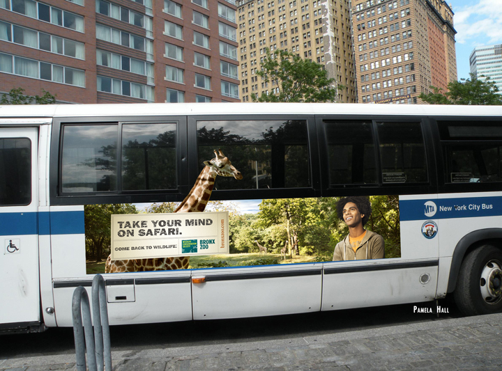BZ_MTA_BUS_KING.jpg