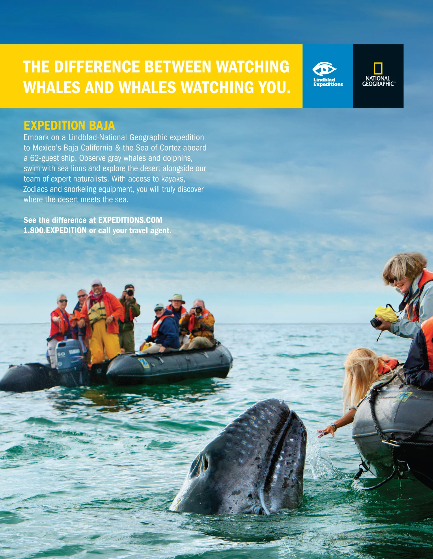 LEX_BAJA_WHALE_NATHISTORY_FP_OCT3.jpg
