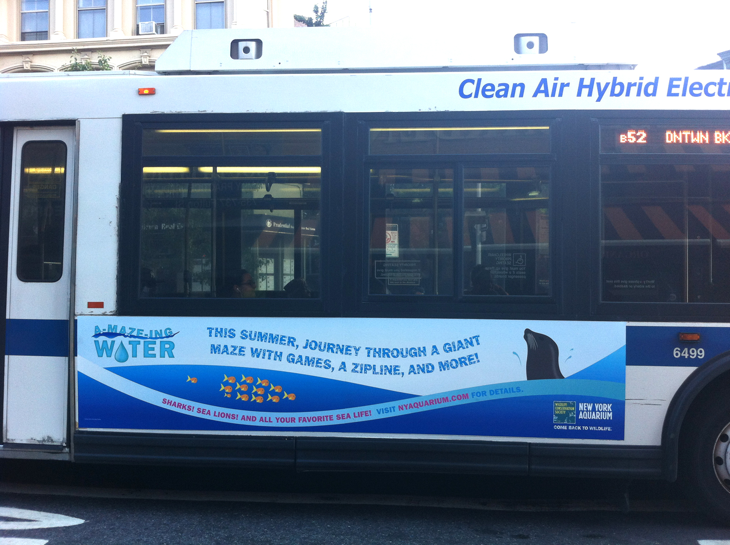 AMAZING_WATER_BUS KING.jpg