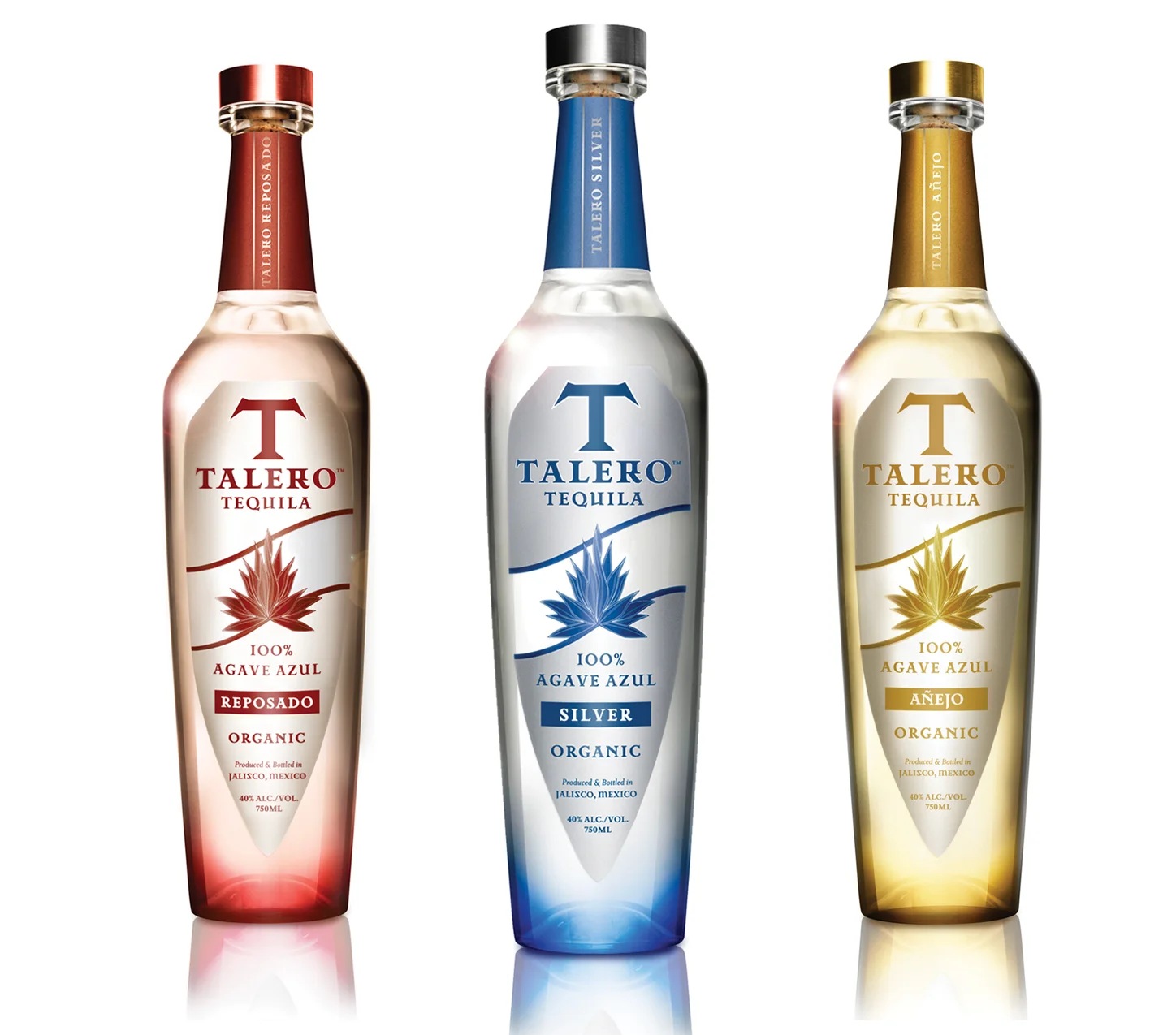 KAT_VIOLA_TALERO_3_LINEUP.jpg
