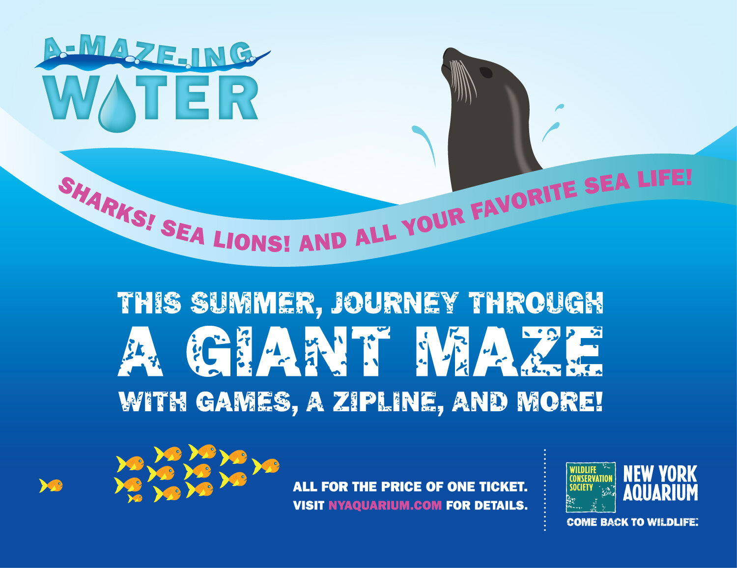 NYAQ_AMAZING_WATER_TWO_SHEET.jpg