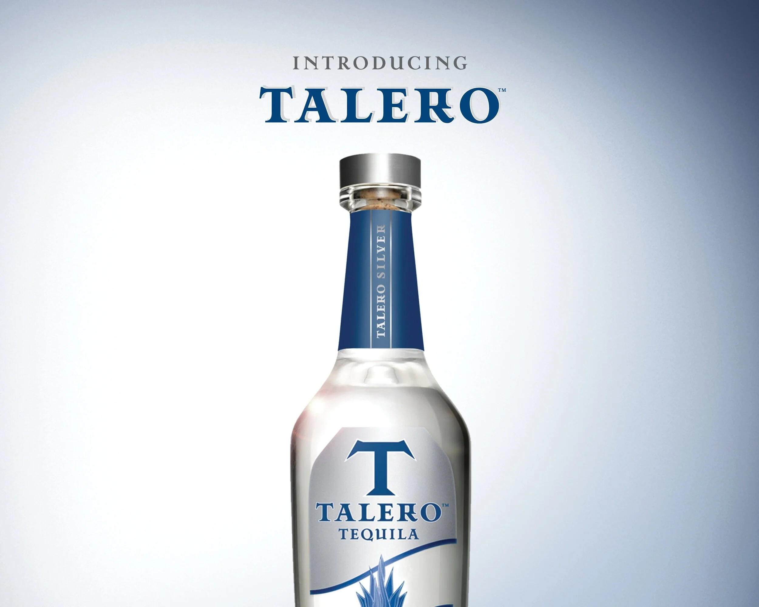 Talero_Silver_Sell_Sheet_FRONT.jpg