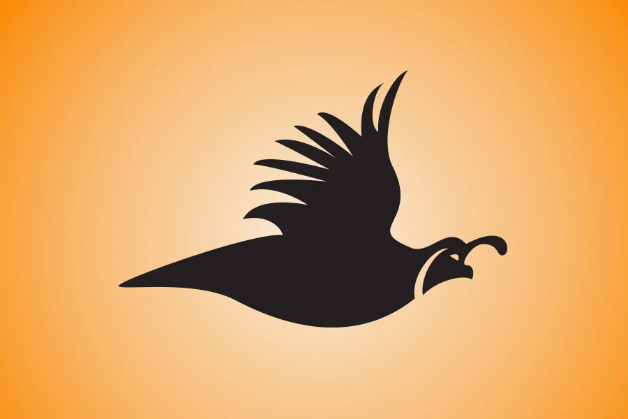 COVEY_RUN_ICON.jpg