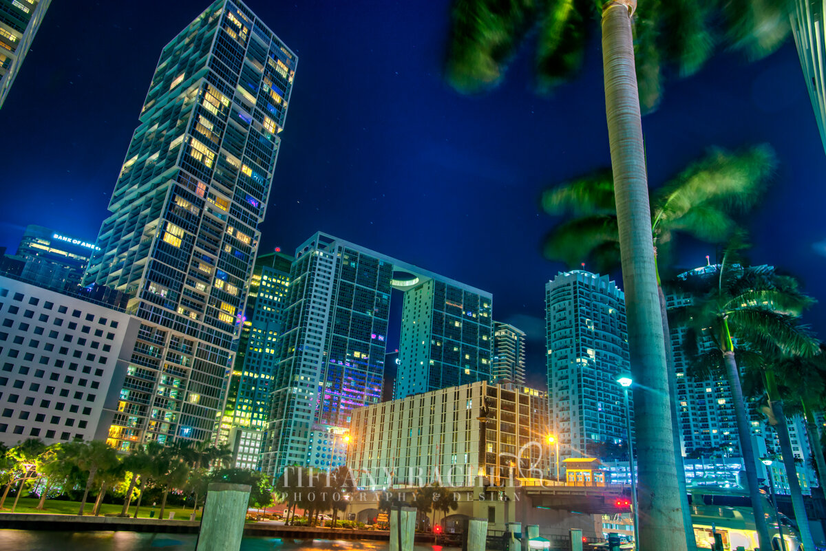Light Trails: Epic Downtown Miami 2020, The Icon