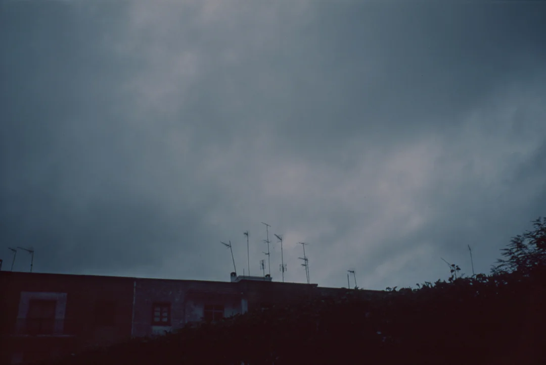 tumblr_mgmlv25ZrL1qcwfeco1_1280.jpg