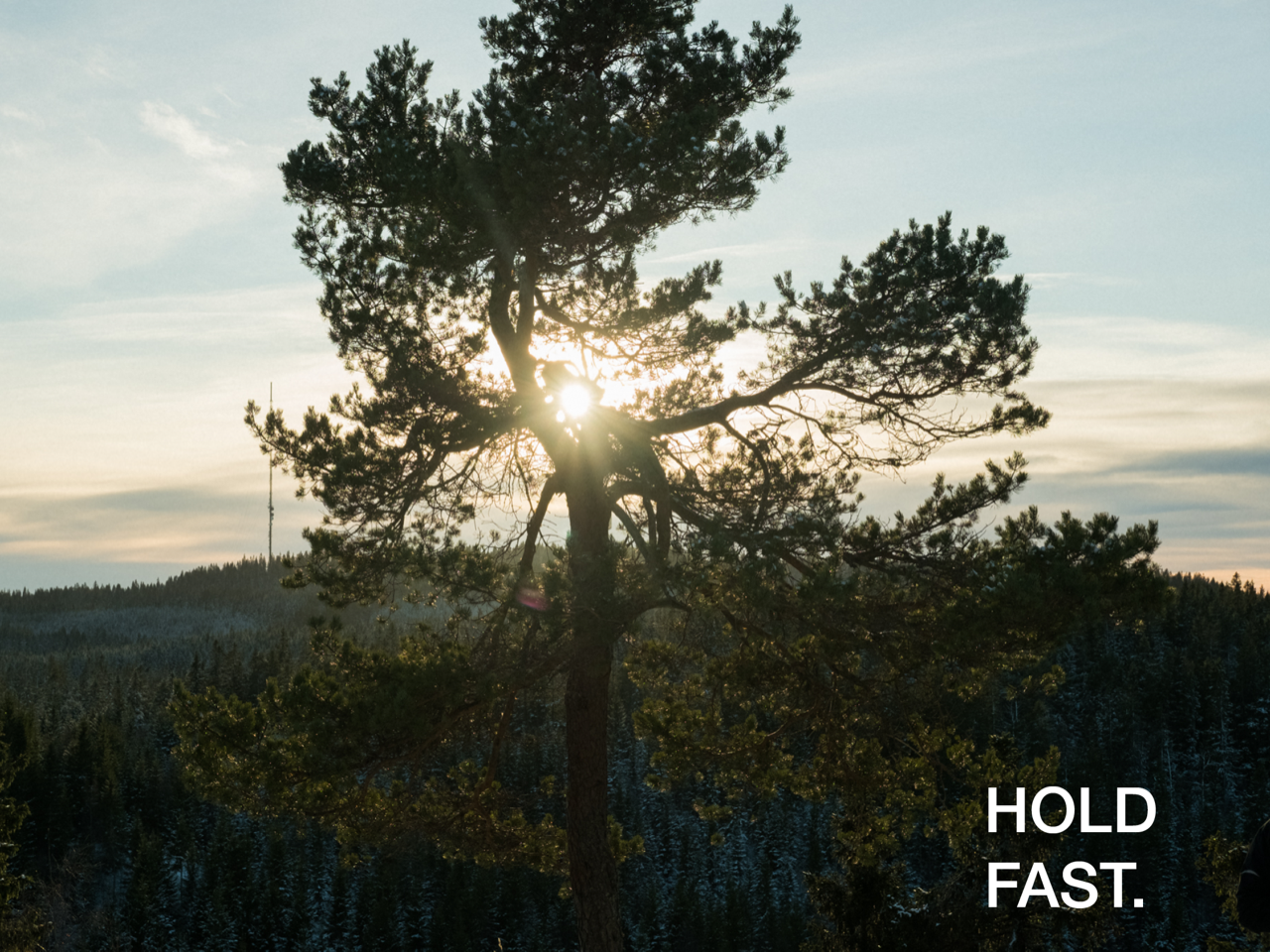 hold fast2.png
