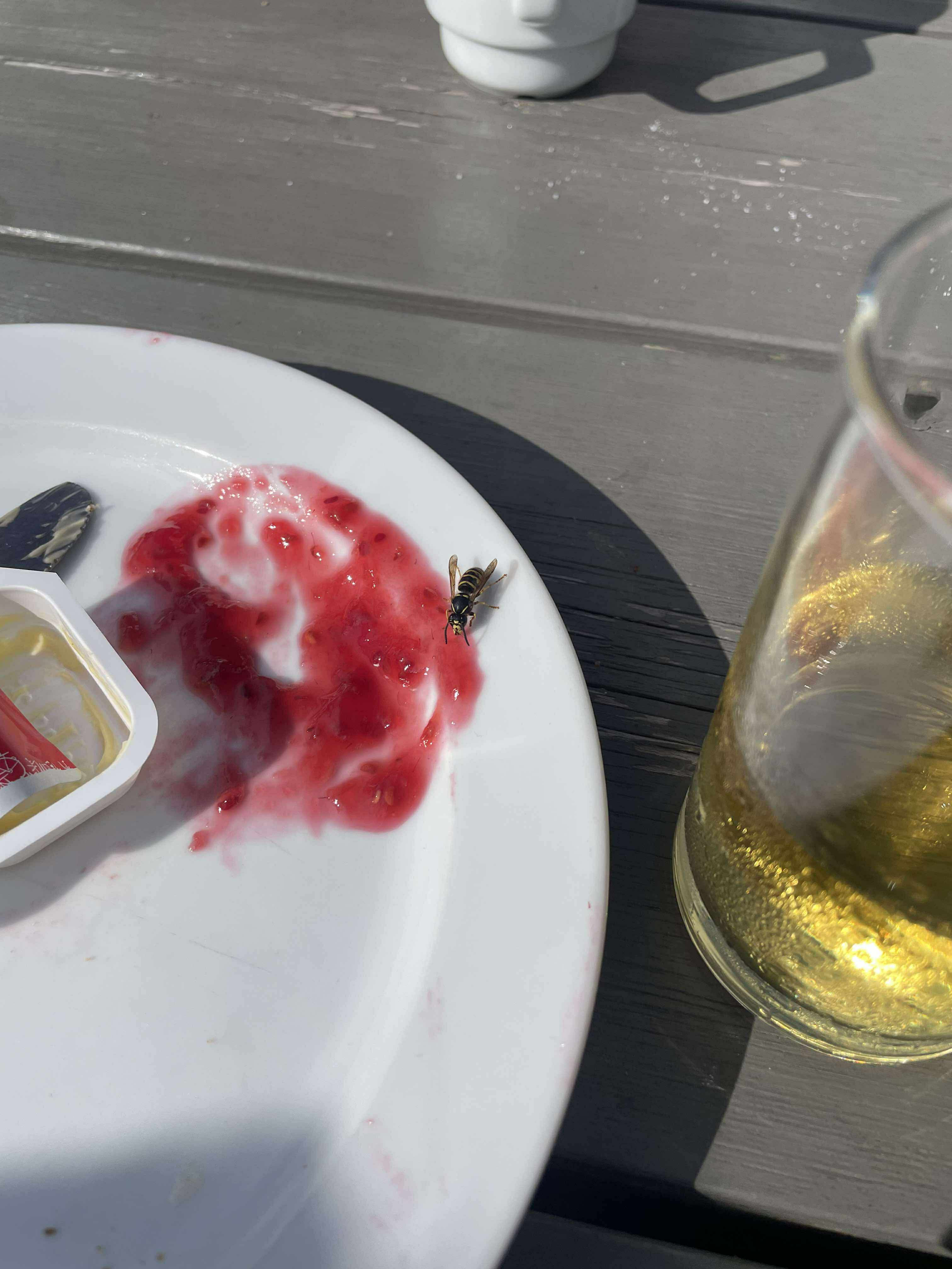 Bilder fra sommerleiren 2025