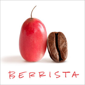 berrista-graphic.jpg