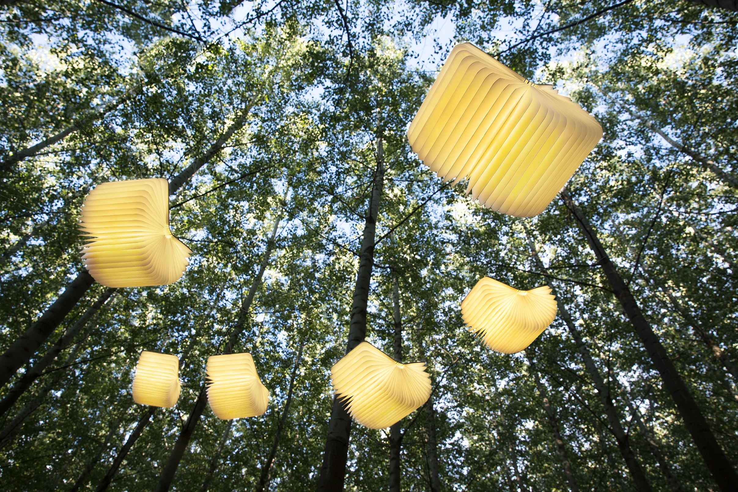 exterior_forest_10.jpg