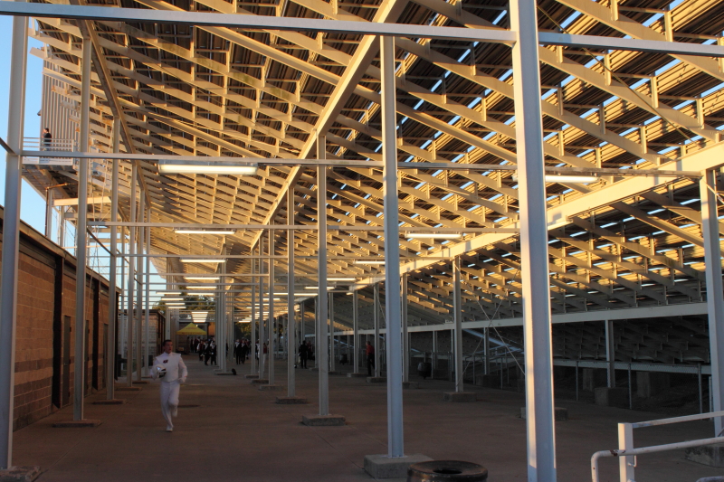 Steagall running small.JPG