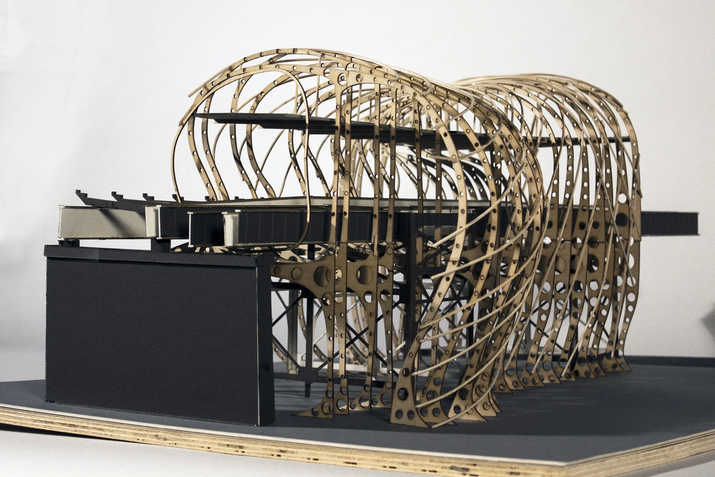 Fall 2013 - Thesis Study Model