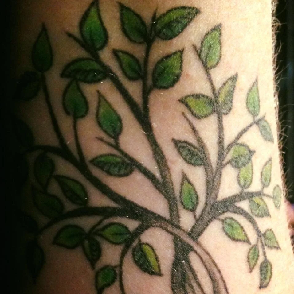 The Tree Of Life