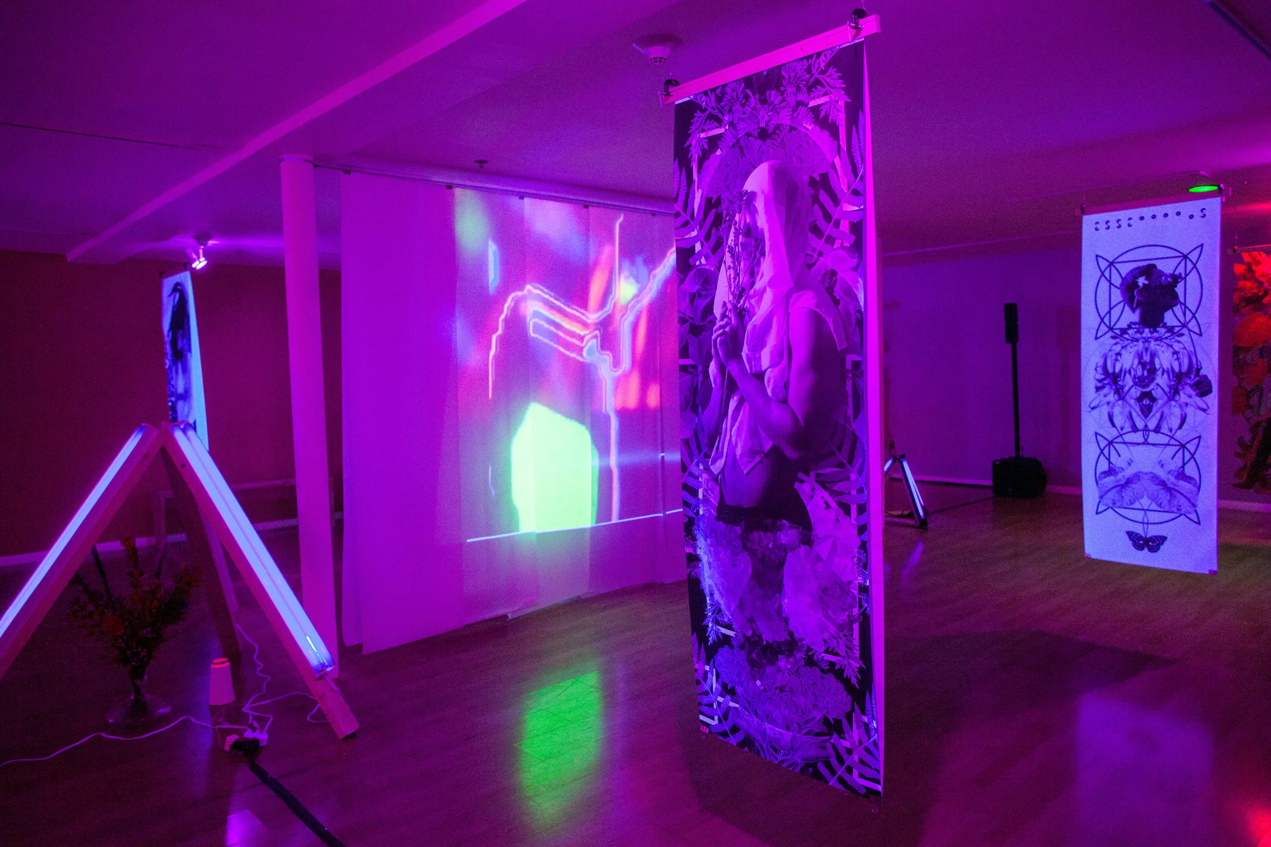 essentials_biochromatic_exhibition_1.jpg