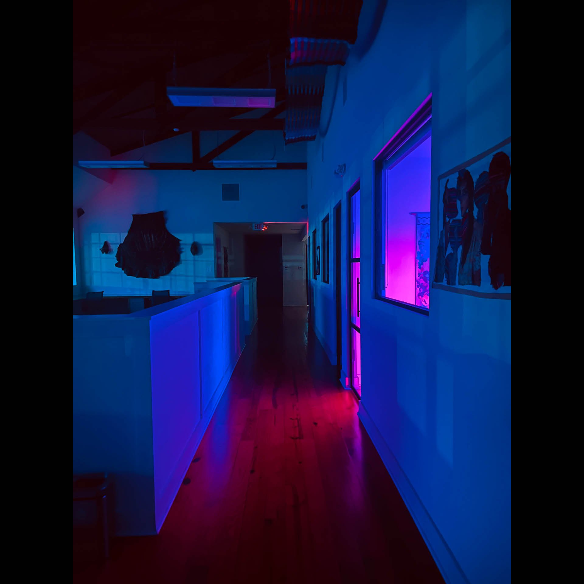 studio_lights.jpg