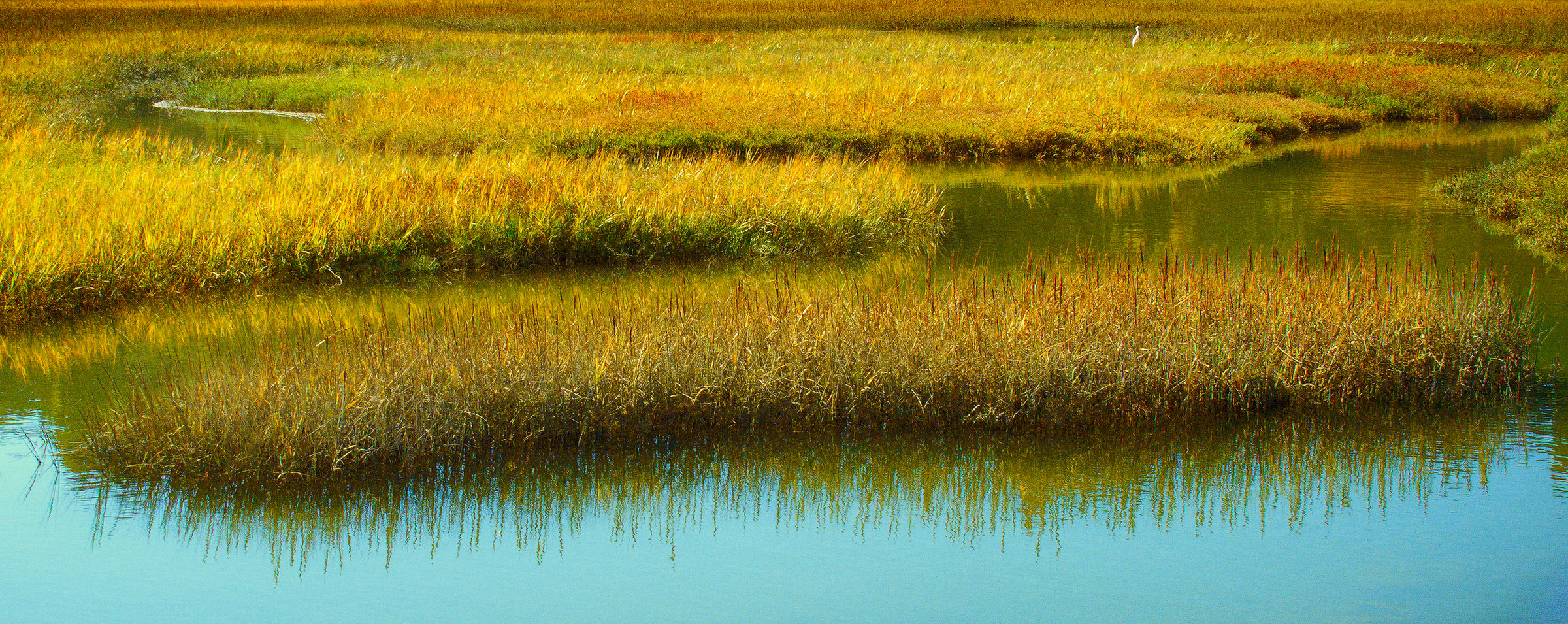 Marin Estuary #1
