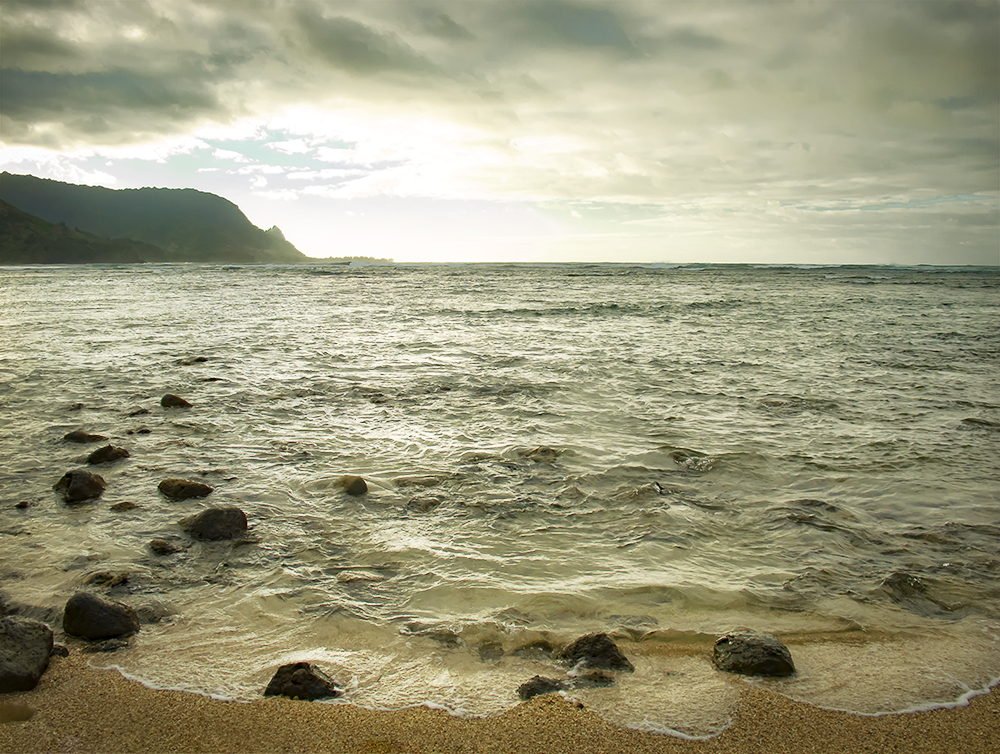 Sea Edge