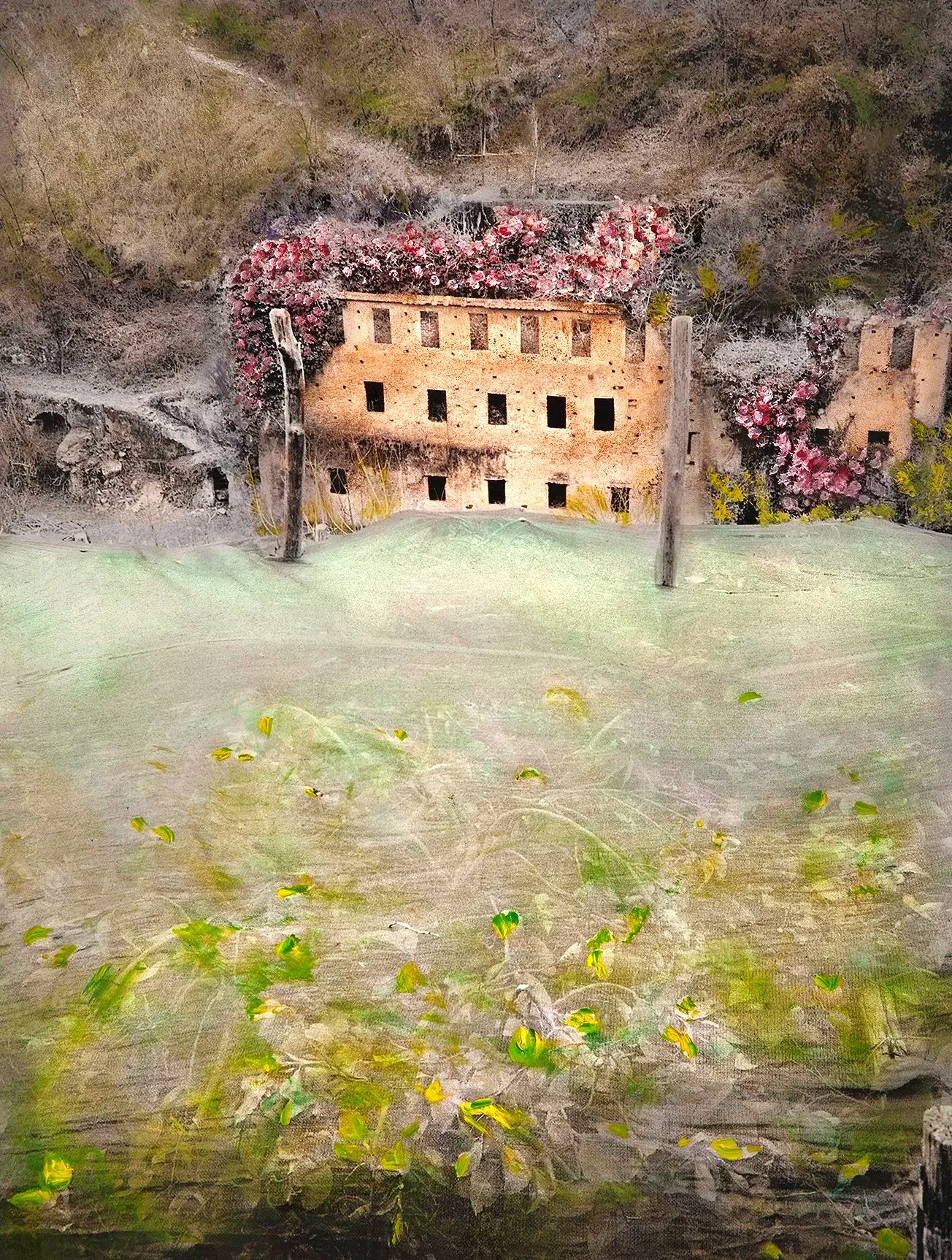 Protecting Lemon Groves