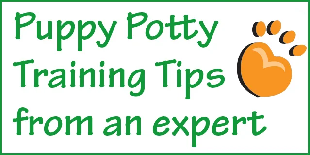PottyGraphic.jpg