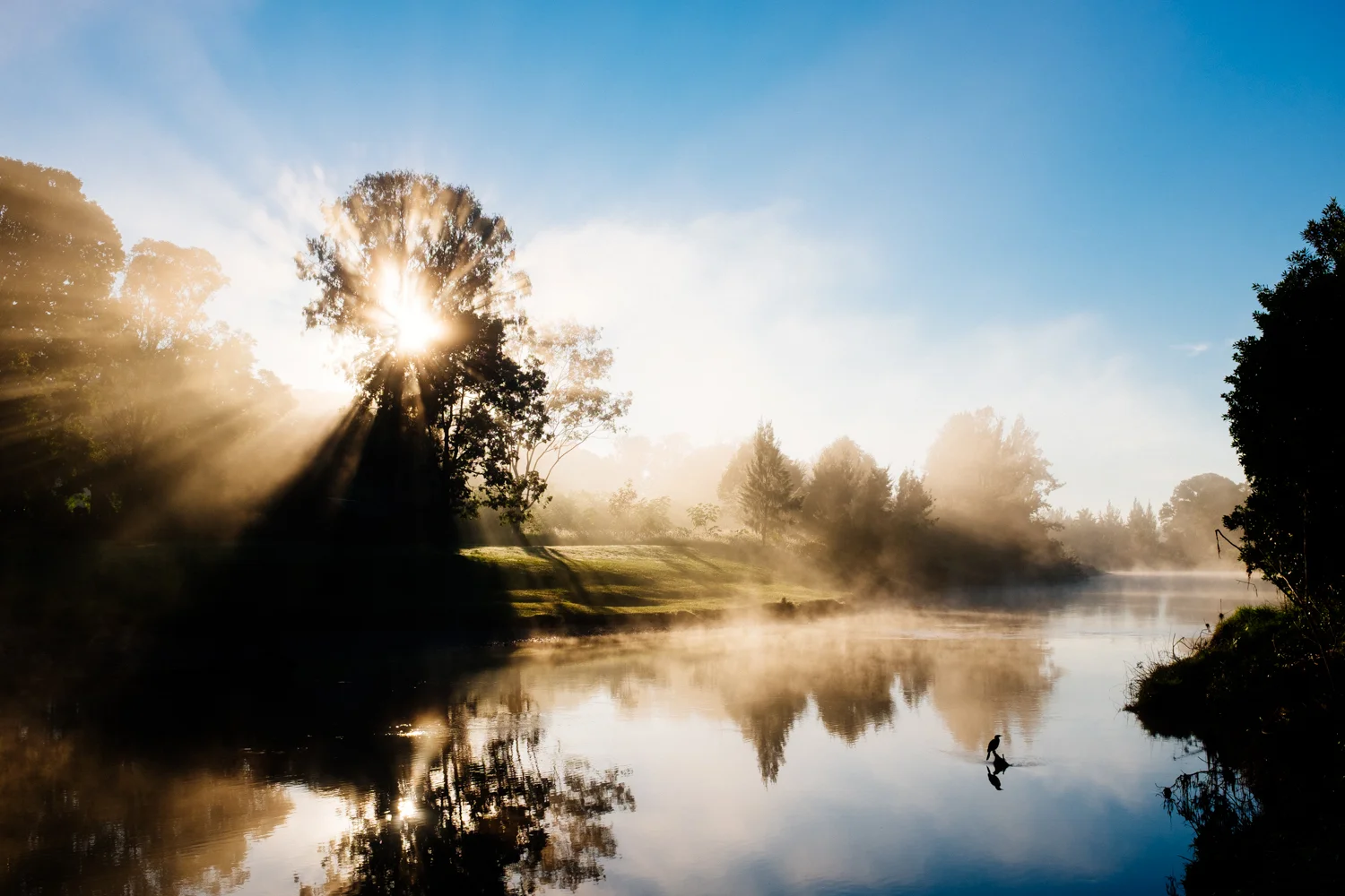 Burst into the Day