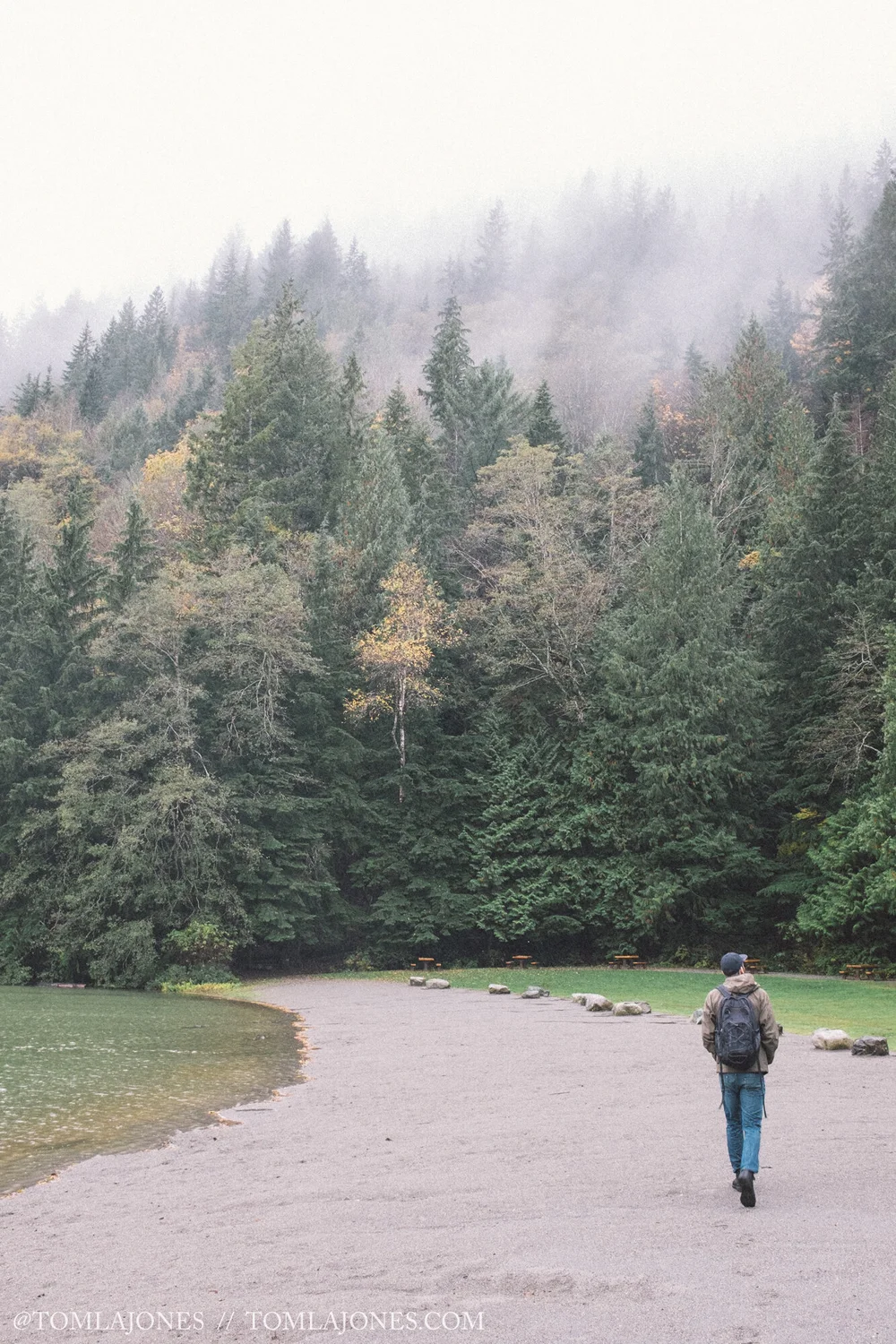 Adventuring into the forest (Copy)