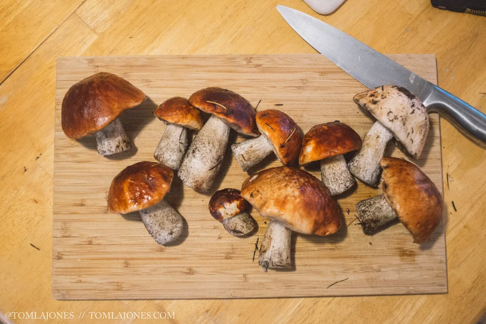 Van_MushHunt_Oct-7365.jpg