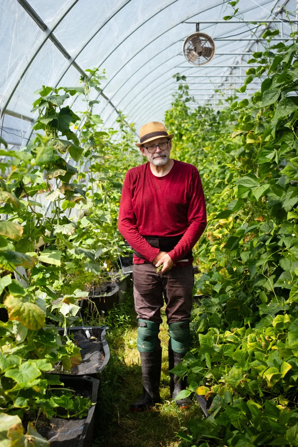 A man with glasses, a beard, and a hat standing in a greenhouse filled with green plants, wearing a red sweater, dark pants, and rubber boots.