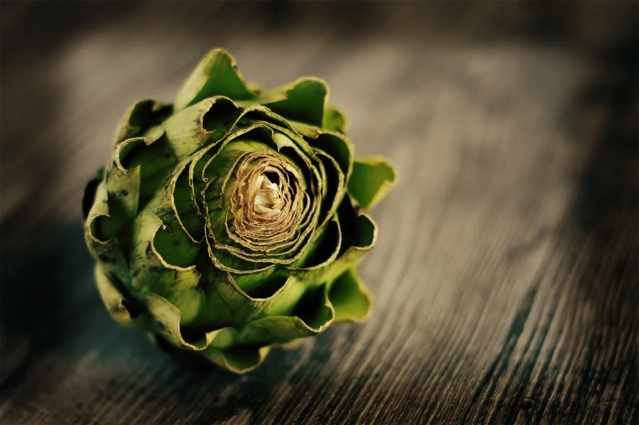 artichoke.jpg