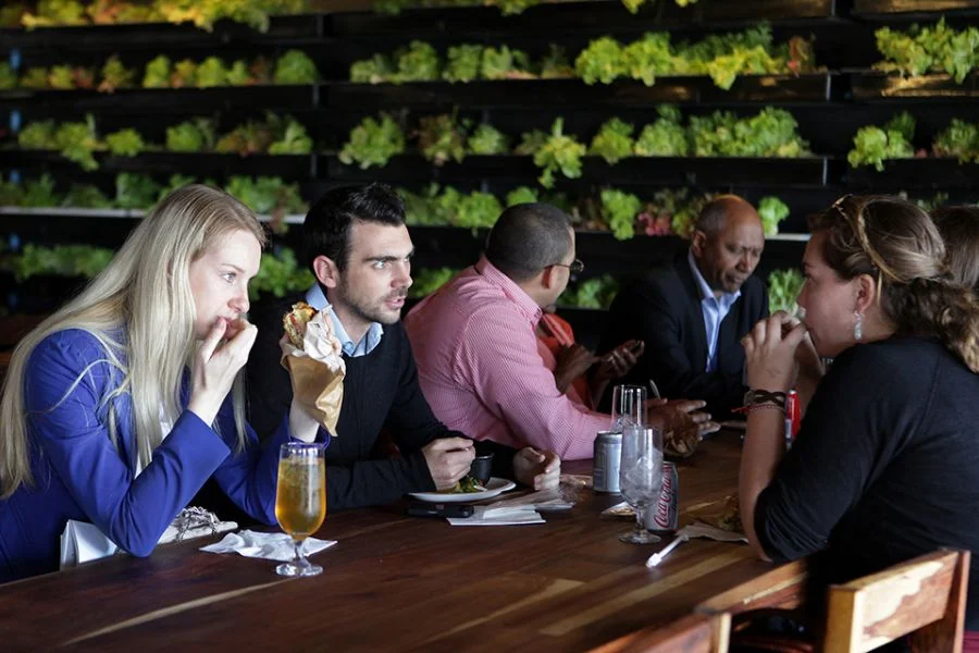 Dining-experience-at-the-Moyo-Restaurant-in-Cape-Town.jpg