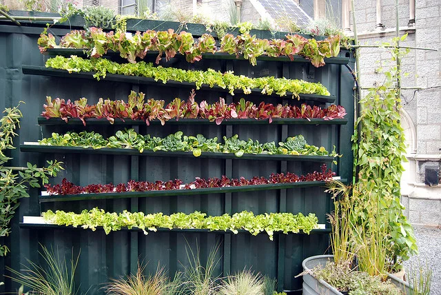 urban-agriculture.jpg