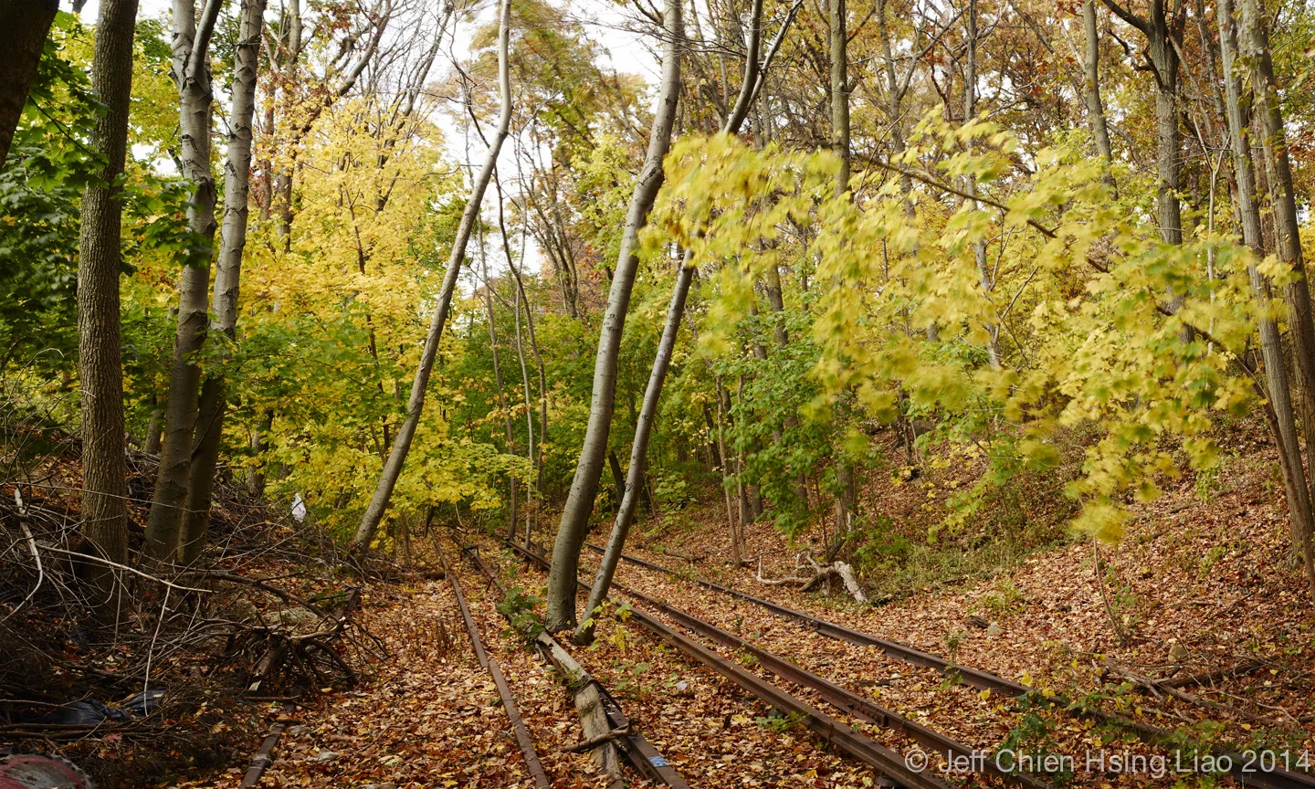 Queensway_Fall_1.jpg