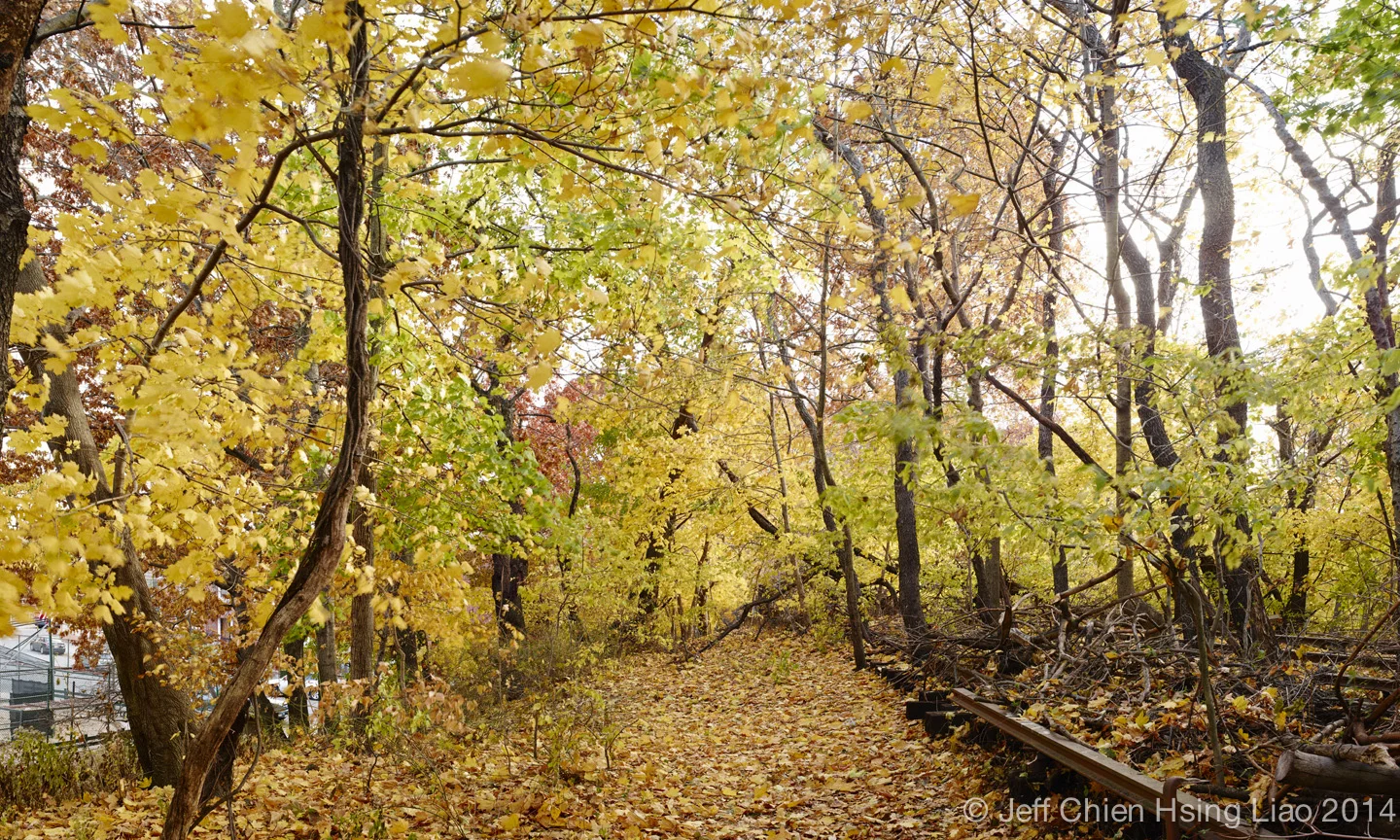 Queensway_Fall_4.jpg