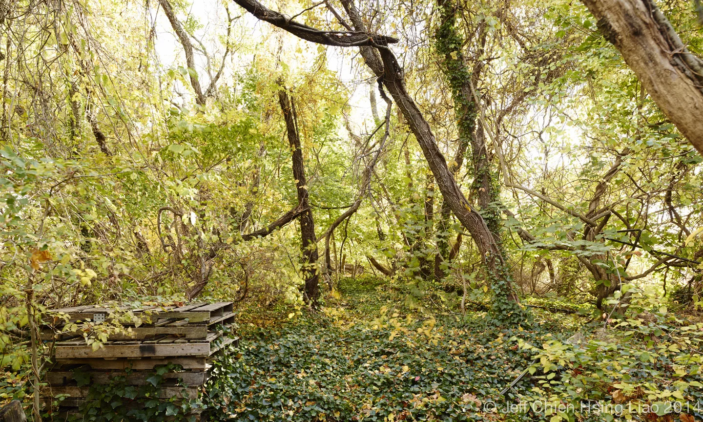 Queensway_Fall_3.jpg