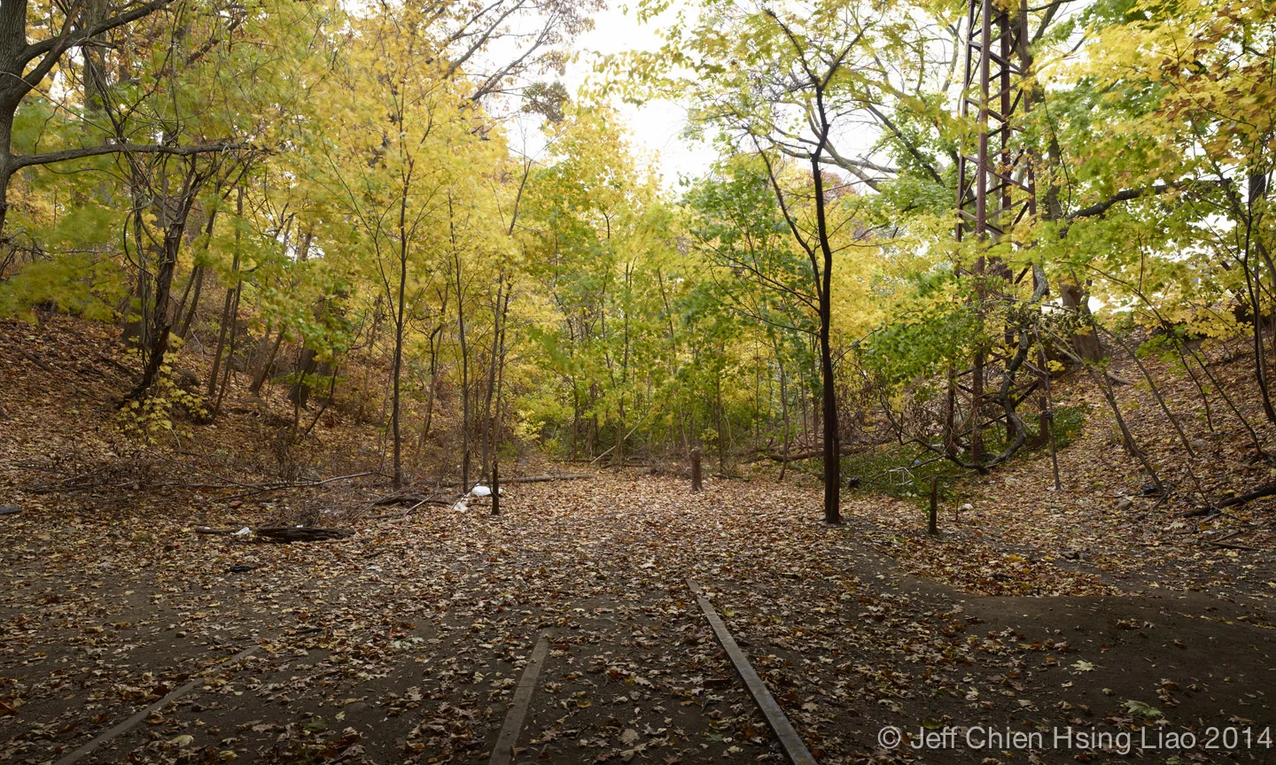 Queensway_Fall_9.jpg