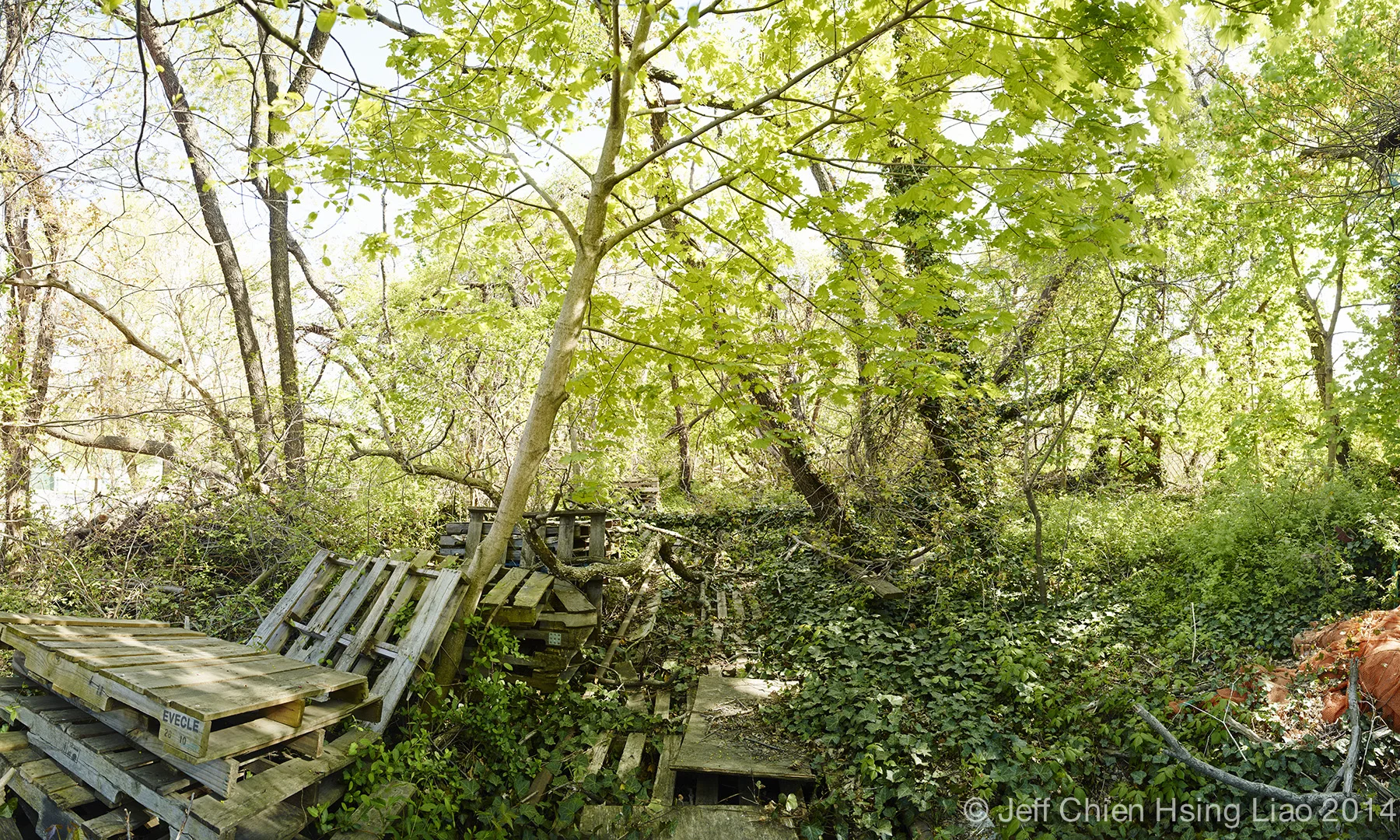 Queensway_spring_2.jpg