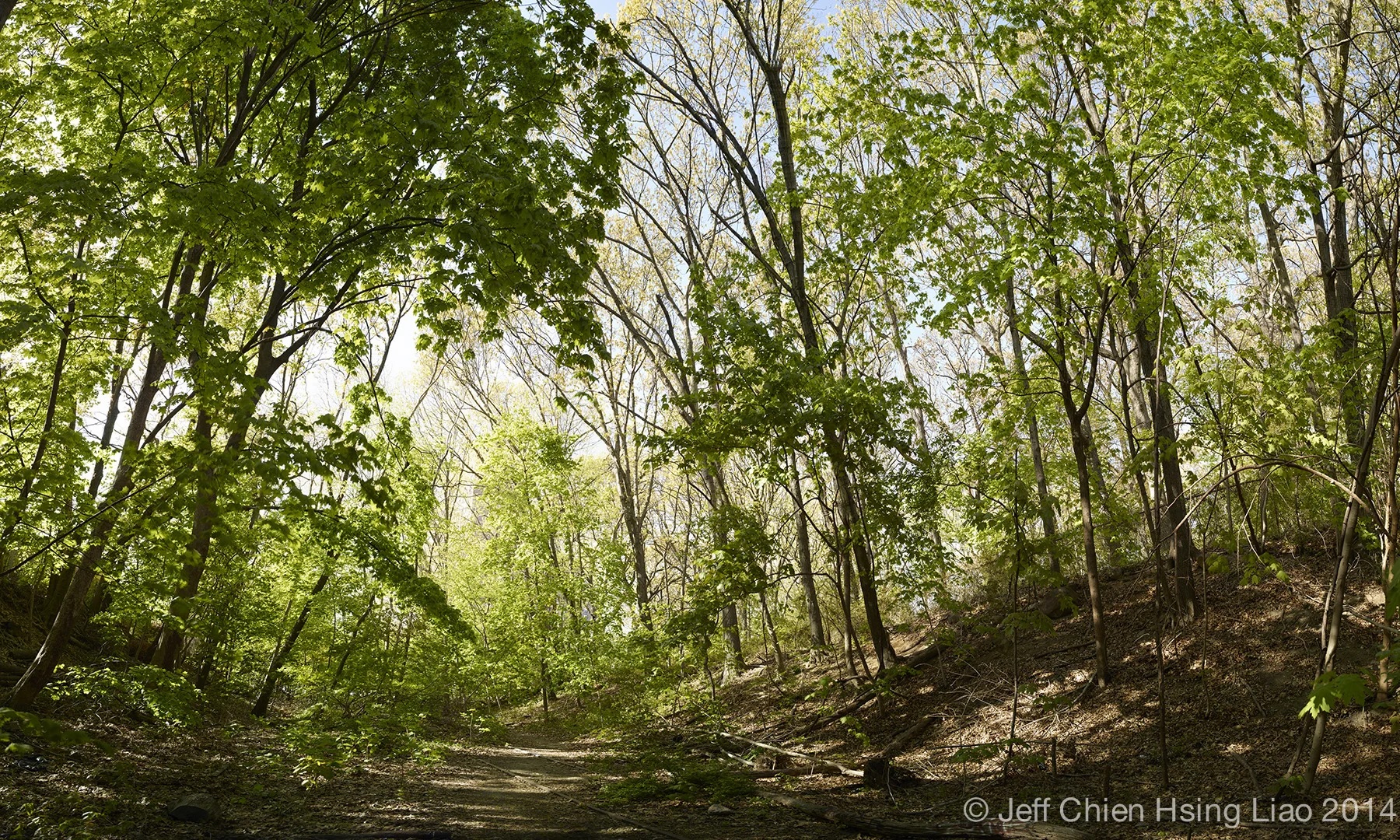 Queensway_spring_3.jpg