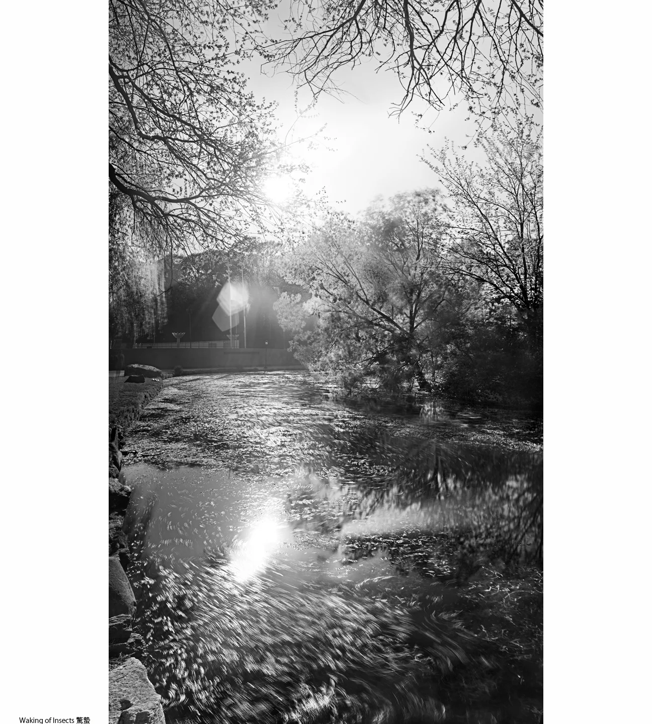 1Spring_3_Waking of Insects1.jpg