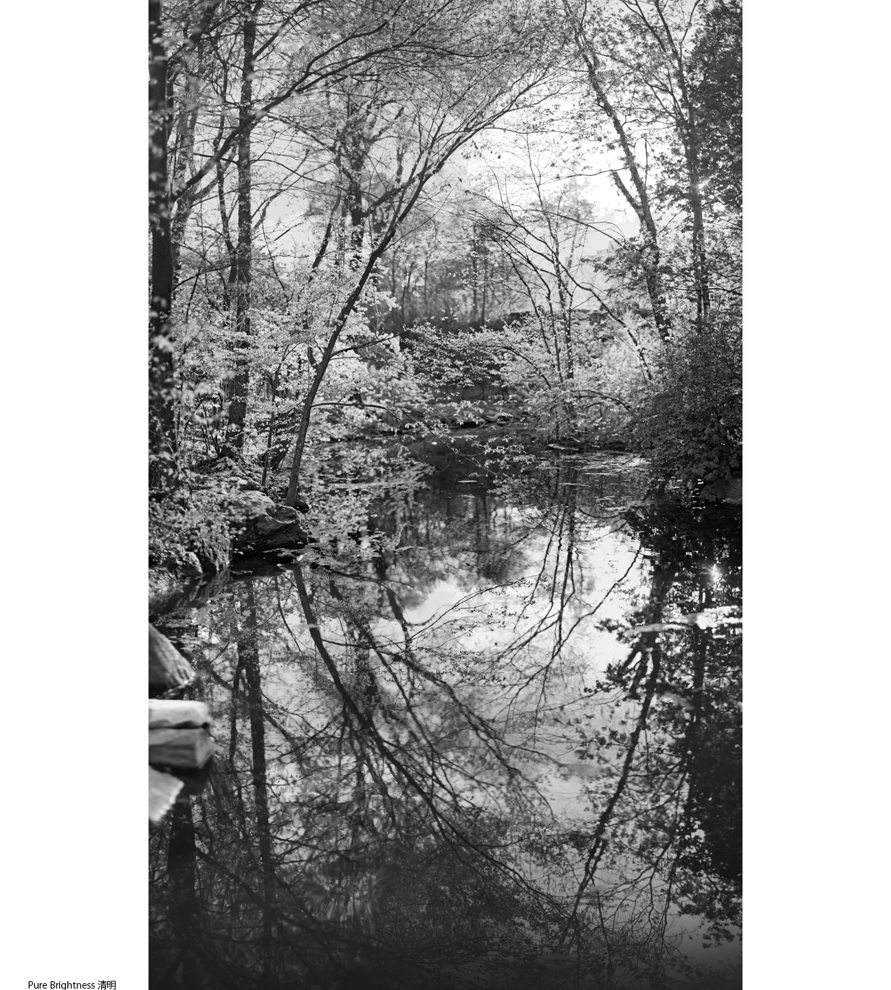 1Spring_5_Pure Brightness1.jpg