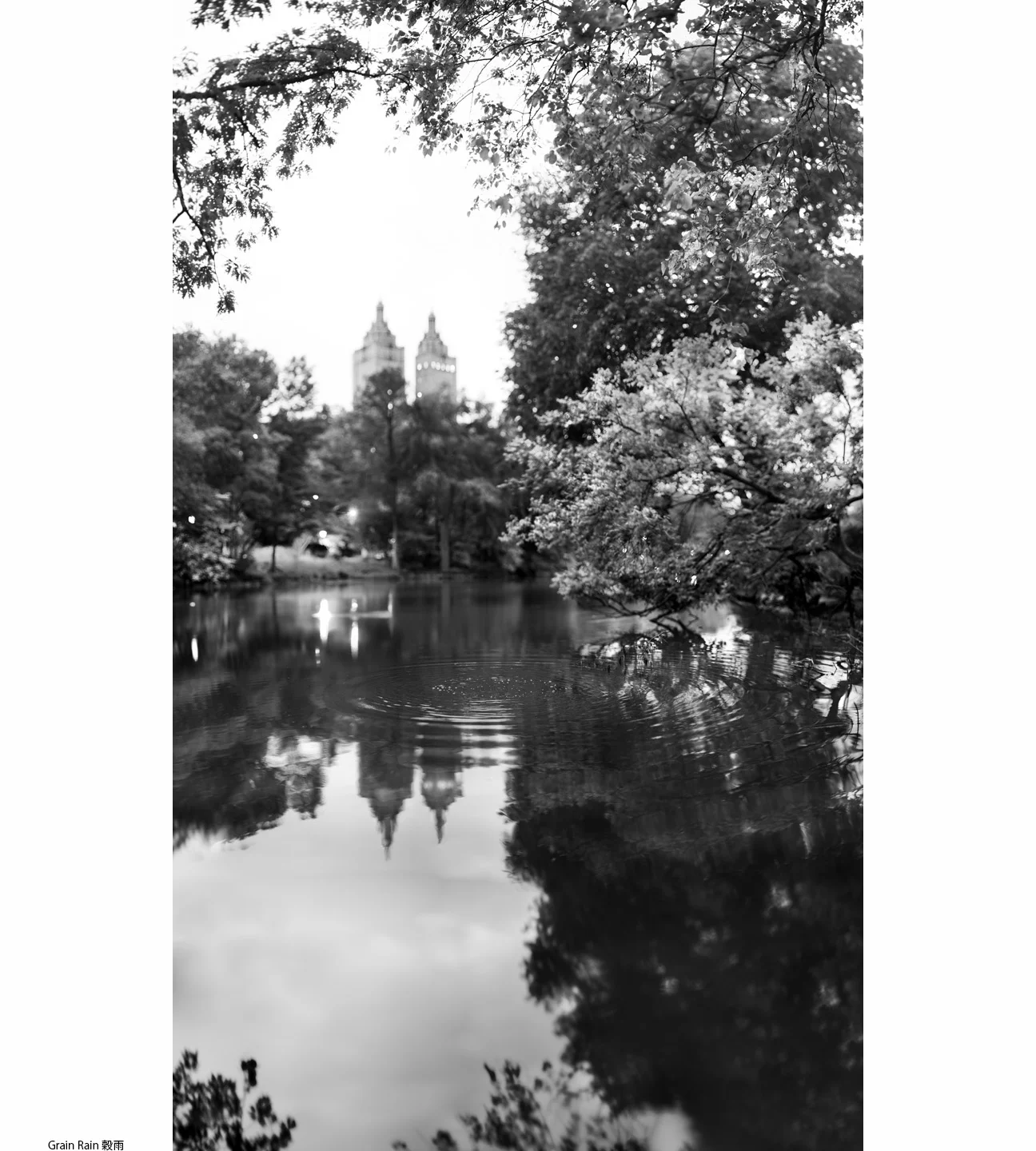 1Spring_6_Grain Rain1.jpg