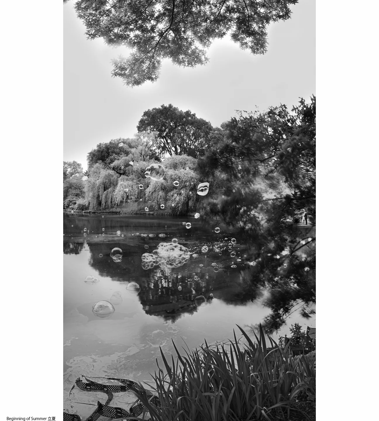 1Summer_1_Beginning of Summer1.jpg