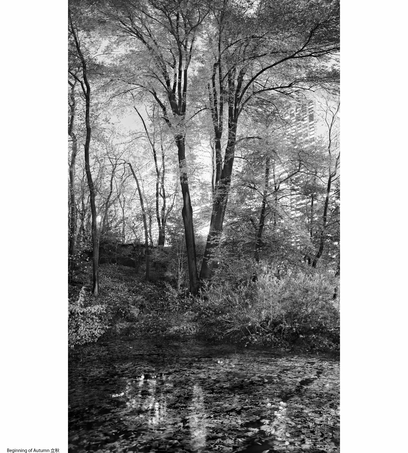 1Autumn_1_Beginning of Autumn1.jpg