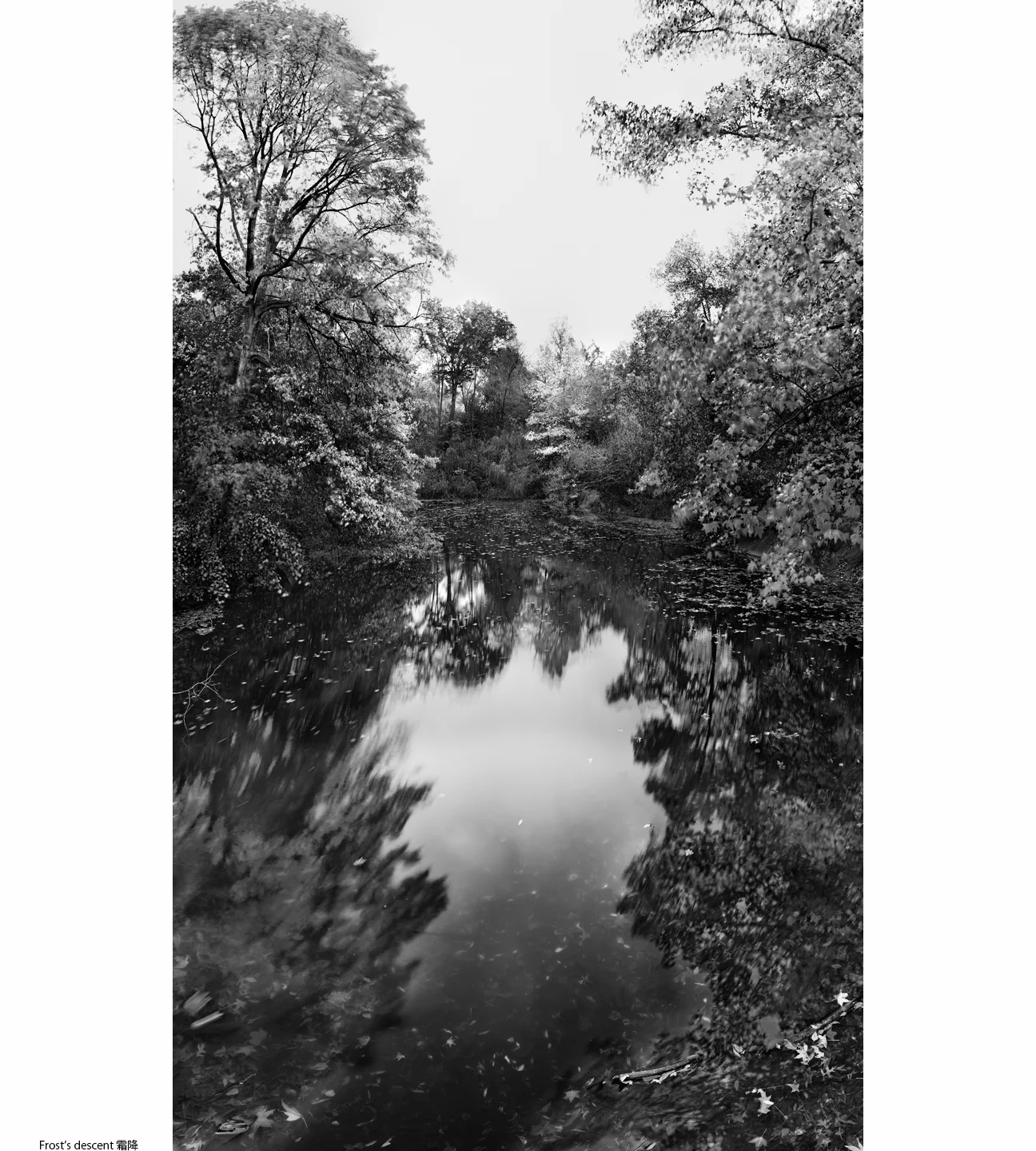1Autumn_6_Frost′s descent1.jpg