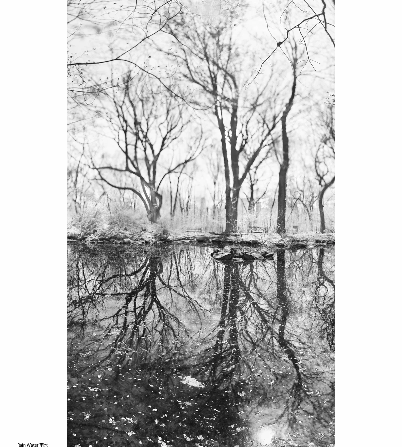 1Spring_2_Rain Water1.jpg
