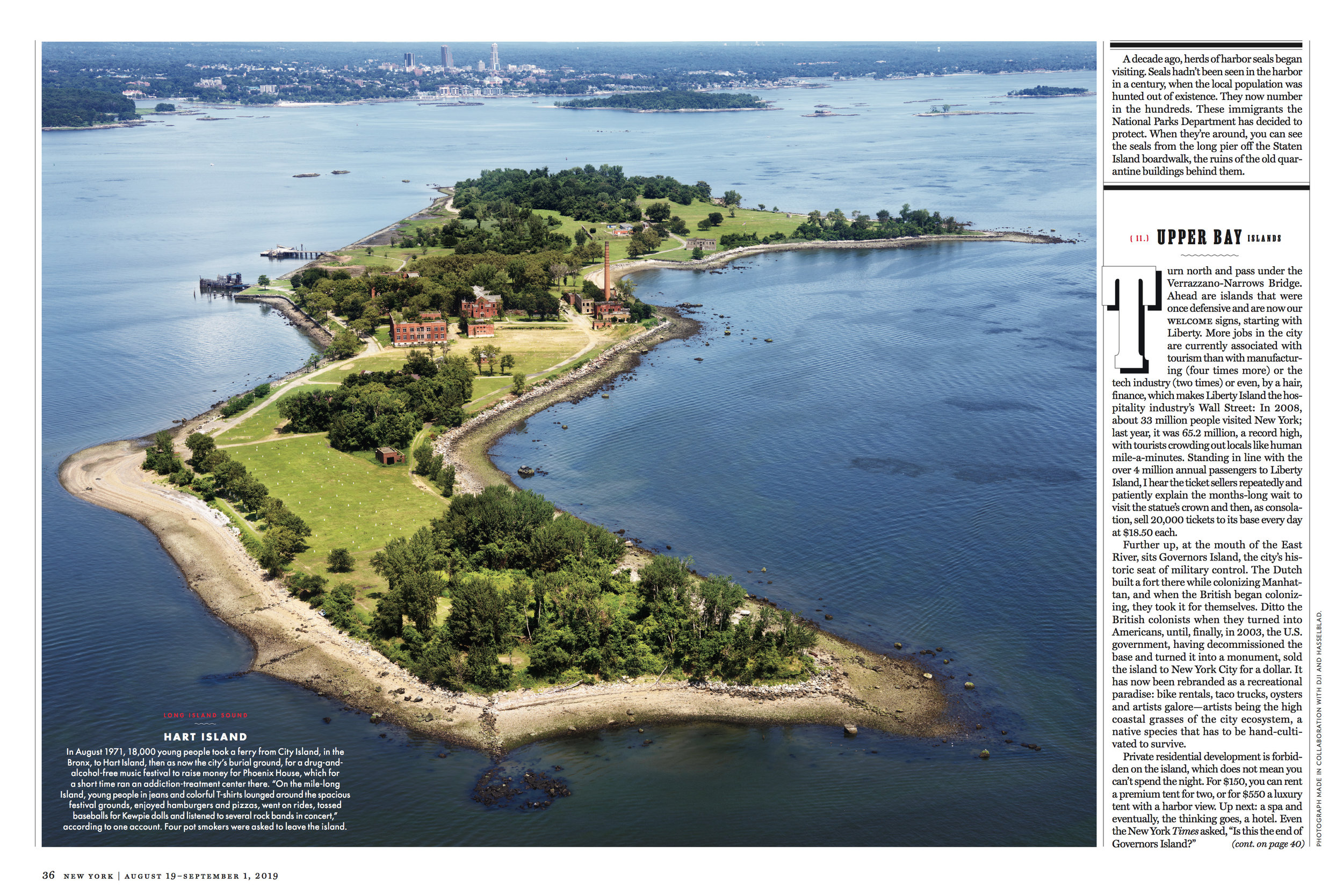 Screen Shot 2019-08-20 at 11.10.47 AM.jpg