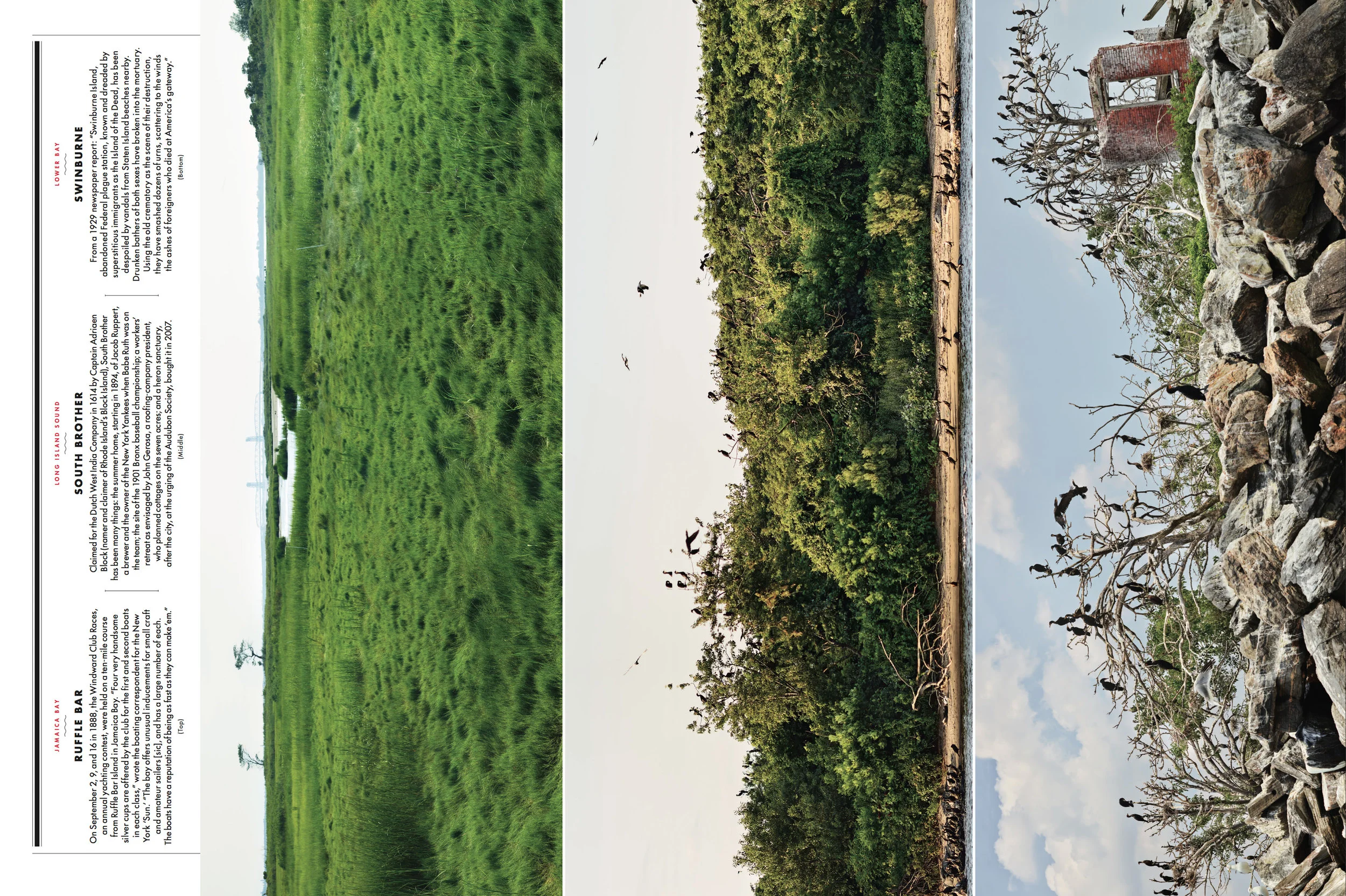 Screen Shot 2019-08-20 at 11.10.56 AM.jpg