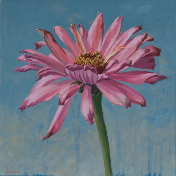 Zinnia 2 | 2010 | oil on panel | 12" x 12"